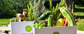 Tipps der Stadtspionin