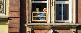 Tipps der Stadtspionin