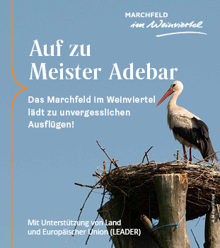 Tipps der Stadtspionin