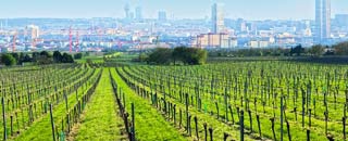 Tipps der Stadtspionin