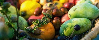 Tipps der Stadtspionin