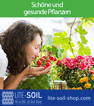Tipps der Stadtspionin