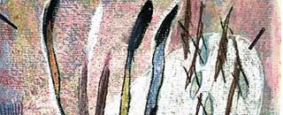 Tipps der Stadtspionin