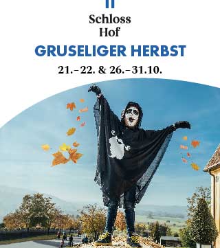 Tipps der Stadtspionin