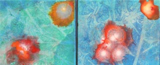 Tipps der Stadtspionin