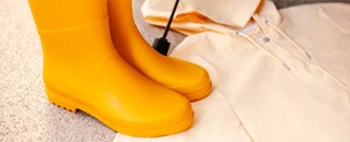 Tipps der Stadtspionin