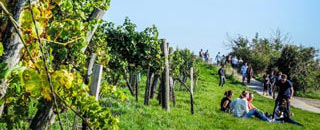 Tipps der Stadtspionin