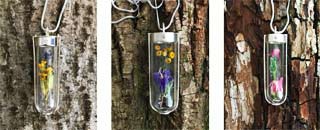 Tipps der Stadtspionin