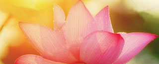 Tipps der Stadtspionin