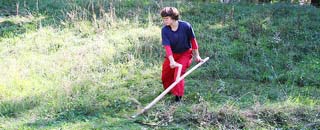 Tipps der Stadtspionin