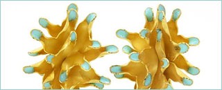 Tipps der Stadtspionin