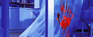 Tipps der Stadtspionin