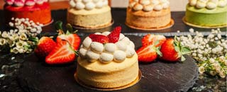 Tipps der Stadtspionin