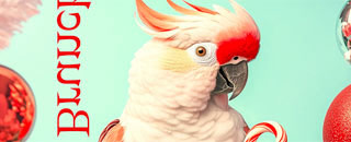 Tipps der Stadtspionin