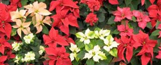 Tipps der Stadtspionin