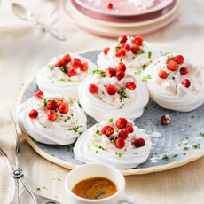 Tipps der Stadtspionin