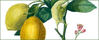 Tipps der Stadtspionin