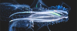 Tipps der Stadtspionin