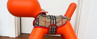 Tipps der Stadtspionin