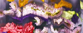 Tipps der Stadtspionin