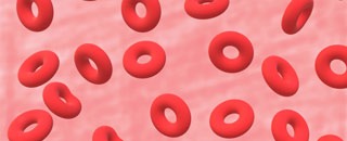 Tipps der Stadtspionin