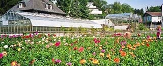 Tipps der Stadtspionin