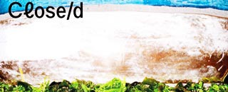 Tipps der Stadtspionin