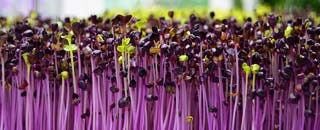 Tipps der Stadtspionin