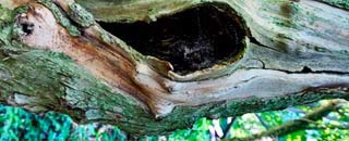 Tipps der Stadtspionin