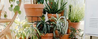 Tipps der Stadtspionin