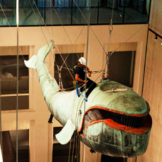 Tipps der Stadtspionin