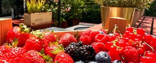 Tipps der Stadtspionin