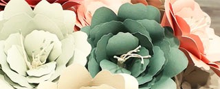 Tipps der Stadtspionin