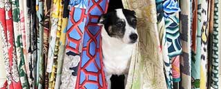 Tipps der Stadtspionin