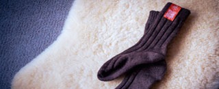 Tipps der Stadtspionin