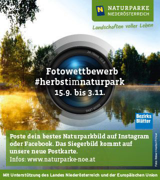 Tipps der Stadtspionin
