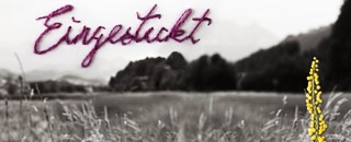 Tipps der Stadtspionin