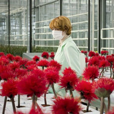 Tipps der Stadtspionin