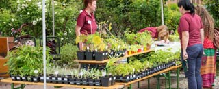 Tipps der Stadtspionin