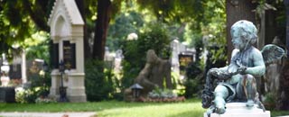 Tipps der Stadtspionin