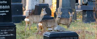 Tipps der Stadtspionin