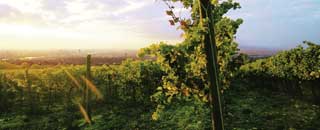 Tipps der Stadtspionin