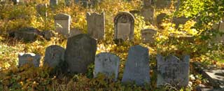 Tipps der Stadtspionin