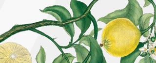 Tipps der Stadtspionin