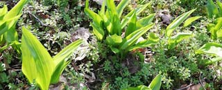 Tipps der Stadtspionin