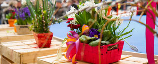 Tipps der Stadtspionin