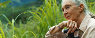 Tipps der Stadtspionin