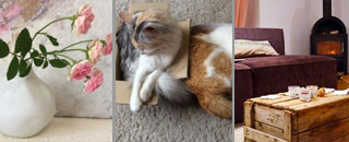 Tipps der Stadtspionin