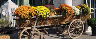 Tipps der Stadtspionin