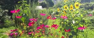 Tipps der Stadtspionin